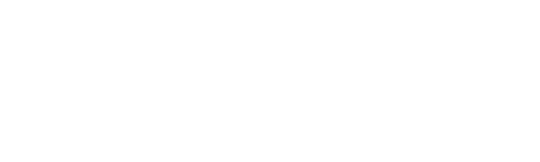 OptiLoss